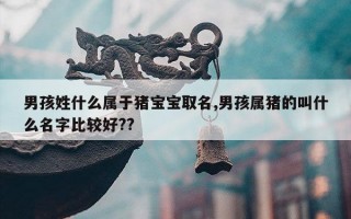 男孩姓什么属于猪宝宝取名,男孩属猪的叫什么名字比较好??