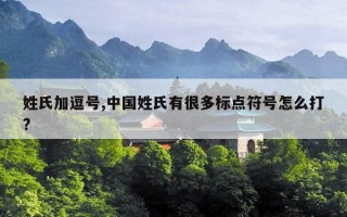 姓氏加逗号,中国姓氏有很多标点符号怎么打?
