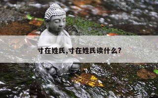 寸在姓氏,寸在姓氏读什么?
