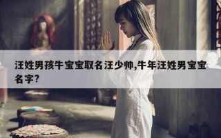 汪姓男孩牛宝宝取名汪少帅,牛年汪姓男宝宝名字?