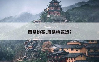 周易桃花,周易桃花运?