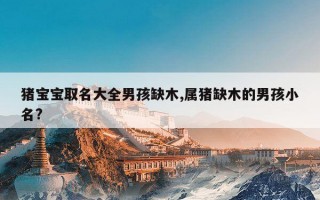 猪宝宝取名大全男孩缺木,属猪缺木的男孩小名?