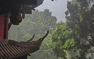成卜卦视频，成卦之数是什么？