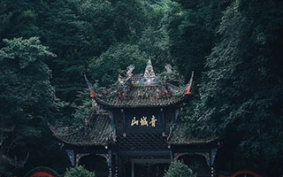 看手相海南话，海南话测试？