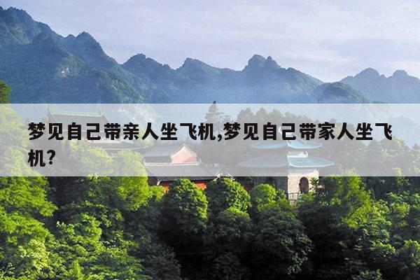 梦见自己带亲人坐飞机,梦见自己带家人坐飞机? 第1张 梦见自己带亲人坐飞机,梦见自己带家人坐飞机? 第1张