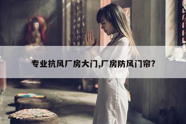 专业抗风厂房大门,厂房防风门帘? 第1张