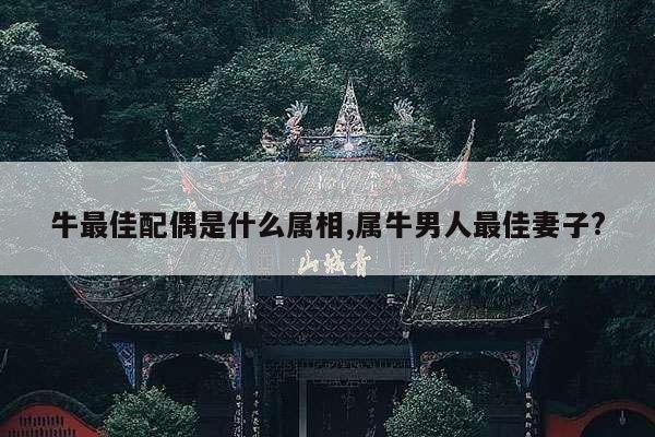牛最佳配偶是什么属相,属牛男人最佳妻子? 第1张 牛最佳配偶是什么属相,属牛男人最佳妻子? 第1张