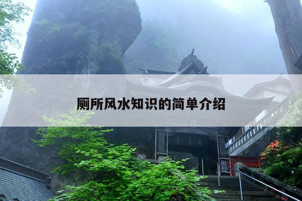 厕所风水知识的简单介绍 第1张 厕所风水知识的简单介绍 第1张
