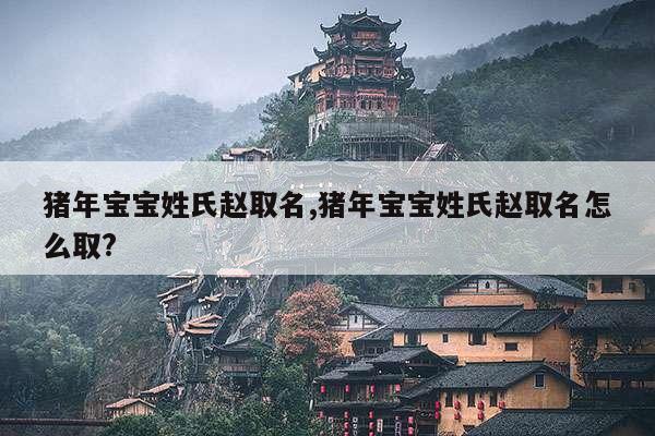 猪年宝宝姓氏赵取名,猪年宝宝姓氏赵取名怎么取? 第1张 猪年宝宝姓氏赵取名,猪年宝宝姓氏赵取名怎么取? 第1张